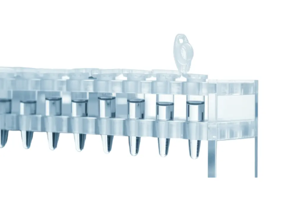 96-7 DNA Polymerase 1600units