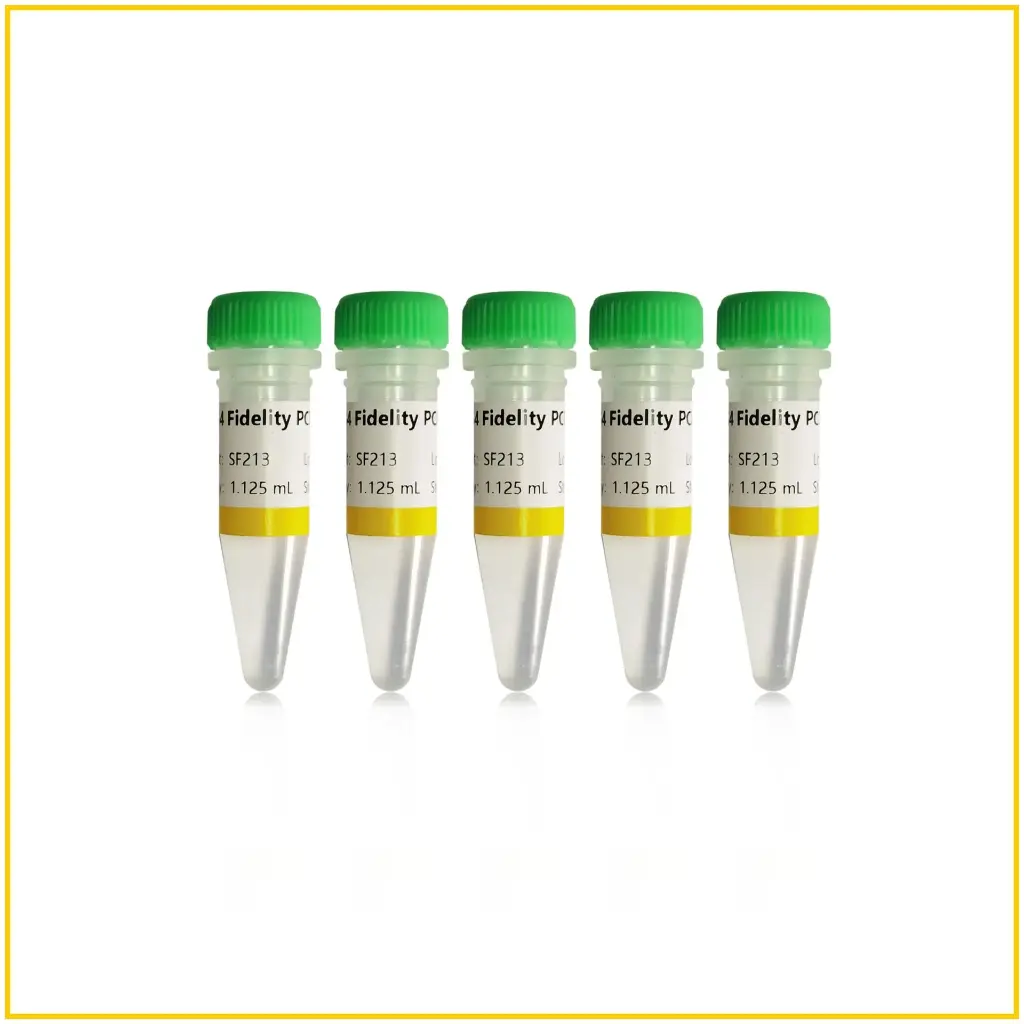 1.1×S4 Fidelity PCR Mix(dye-)