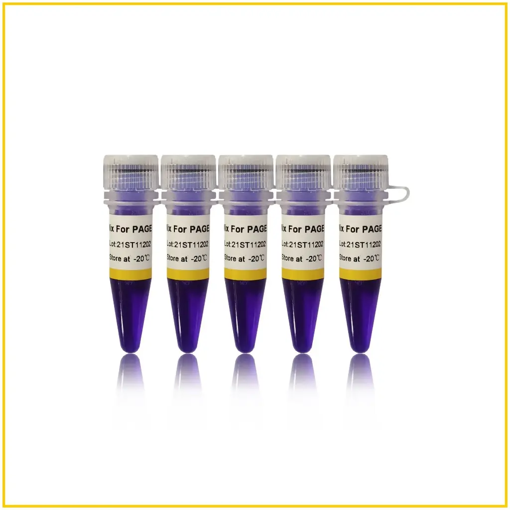 2×GS Taq PCR Mix For PAGE