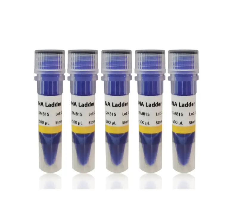 250 bp DNA Ladder