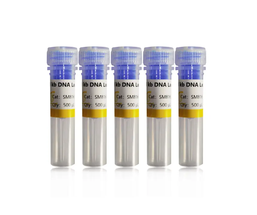 1 kb DNA Ladder