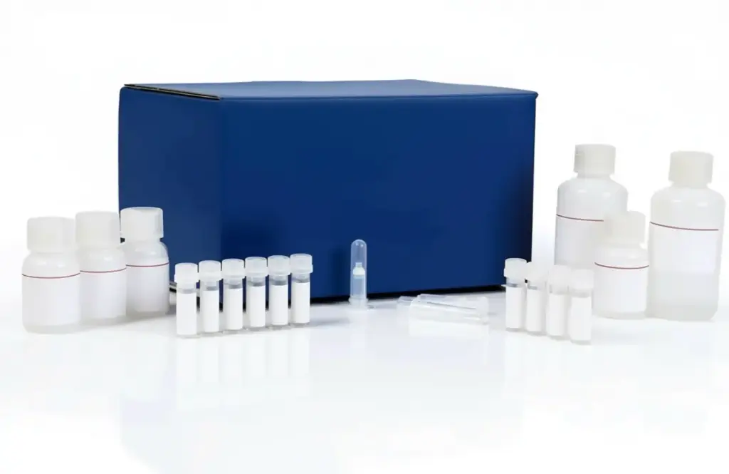  Free Fatty Acid Assay Kit - Quantification