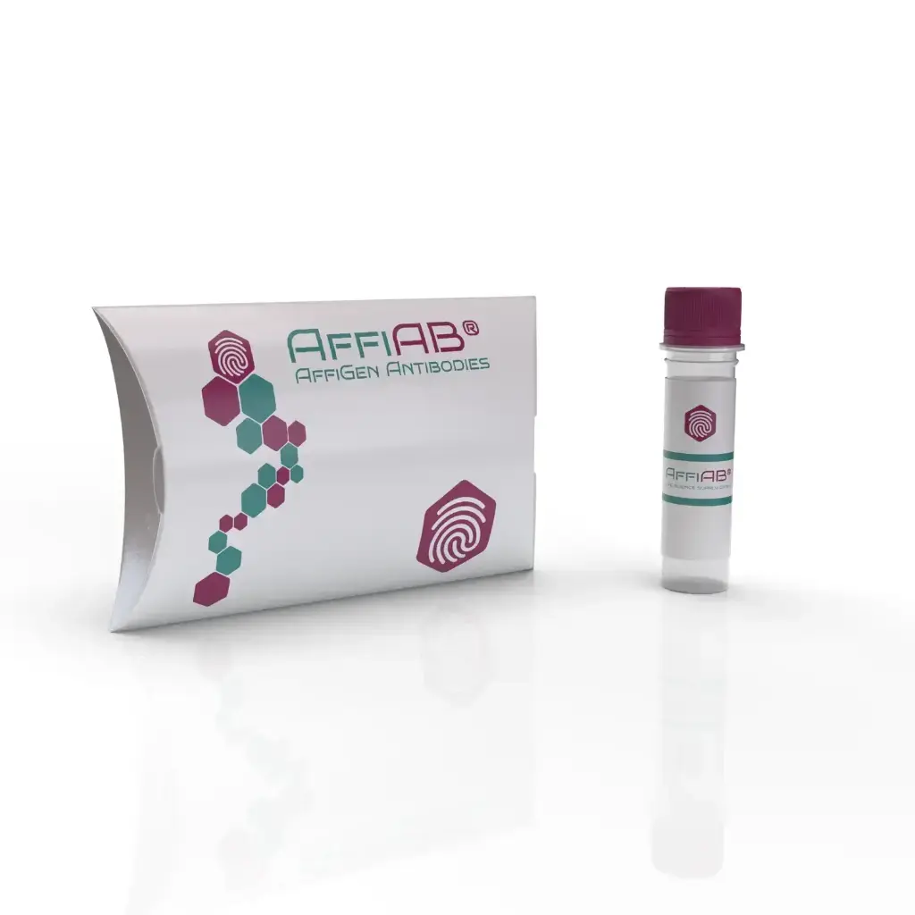 NOS1 Antibody