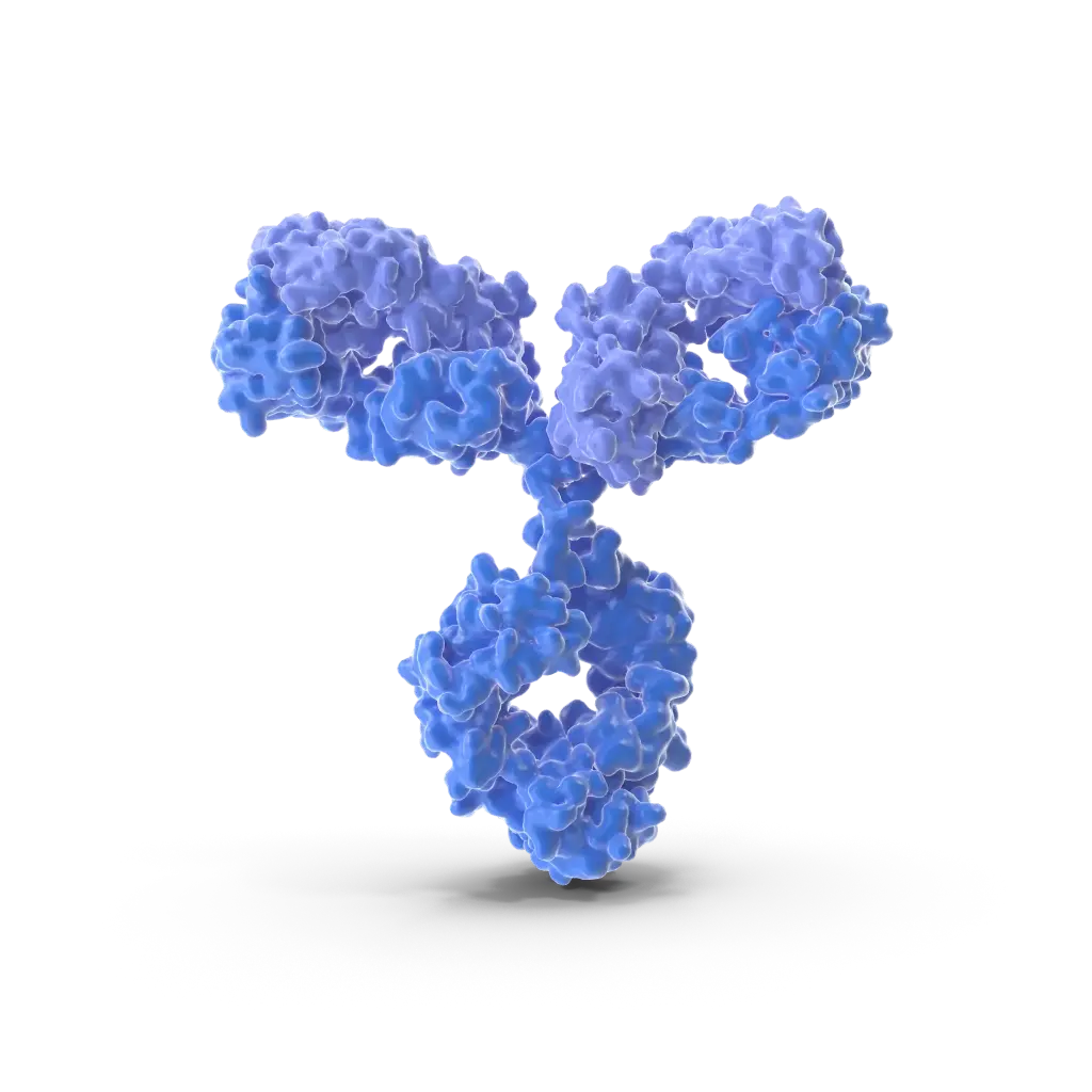 NOS1 Antibody