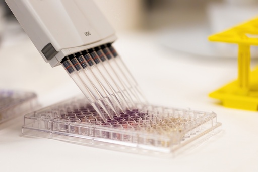 [TP409] AmpliStar-II 8-Strip 0.2ml Assorted Color PCR Tubes, Attached Optical Flat Caps - 120