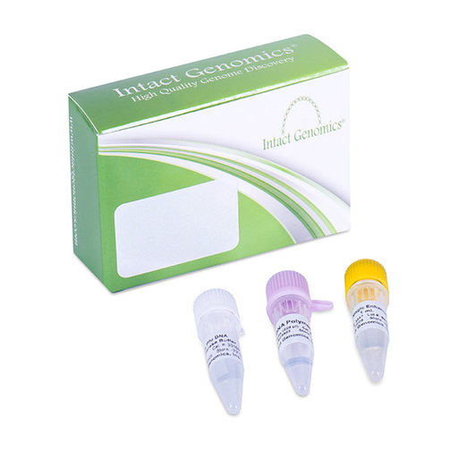 Taq-DNA-Polymerase-2x-Premix-with-Dye
