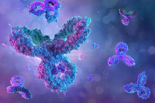 [ABD4816] KLRK1 Antibody